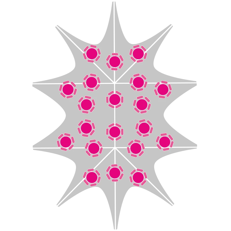 Starsátor Big – two Árbóc